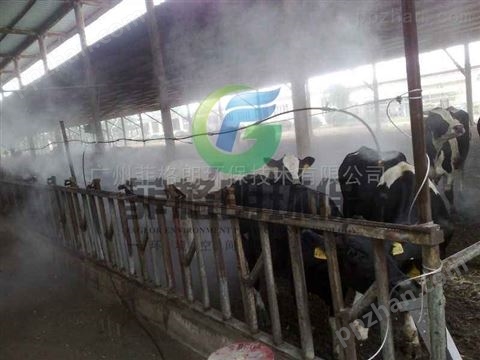 家禽市场喷雾消毒设备/高压喷雾专业消毒