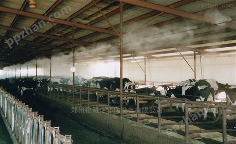 养殖行业加湿器 喷雾除臭加湿设备效果