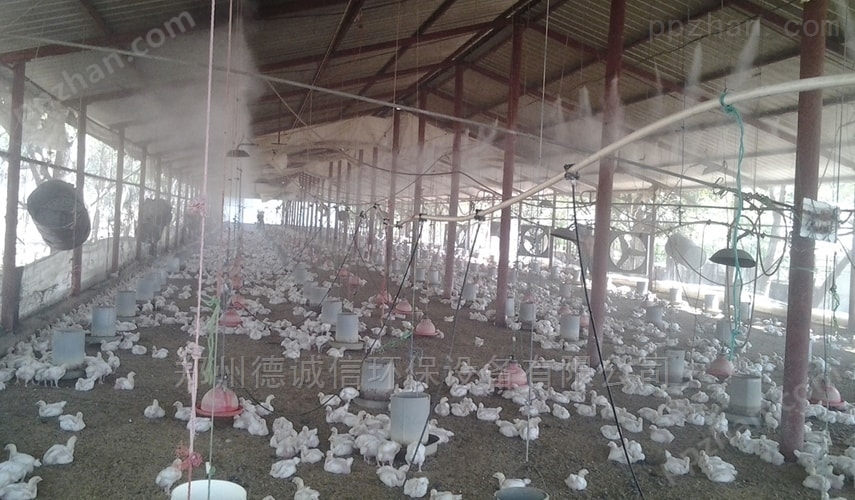 鸡舍养殖加湿器 养殖场加湿设备