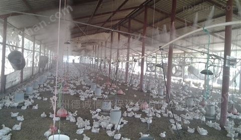 养鸡工业加湿器
