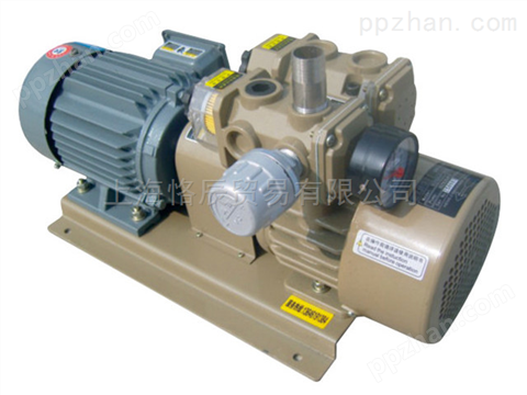 现货供应WZB25/WQB25-P印刷机泵