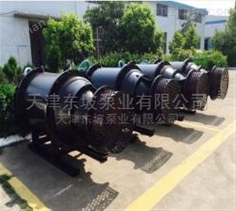 雪橇式轴流泵-天津潜水泵