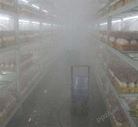 食用菌喷雾加湿器​厂家