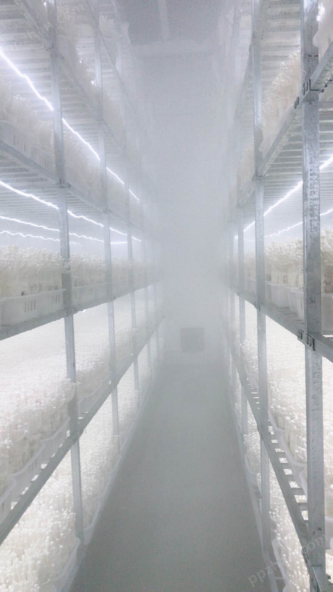 食用菌工厂化种植加湿器​